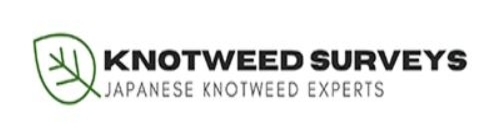 Knotweed Surveys Jepanese Knotweed Experts